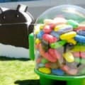 Ice Cream Sandwich a Jelly Bean zaujímají čtvrtinu androidího trhu