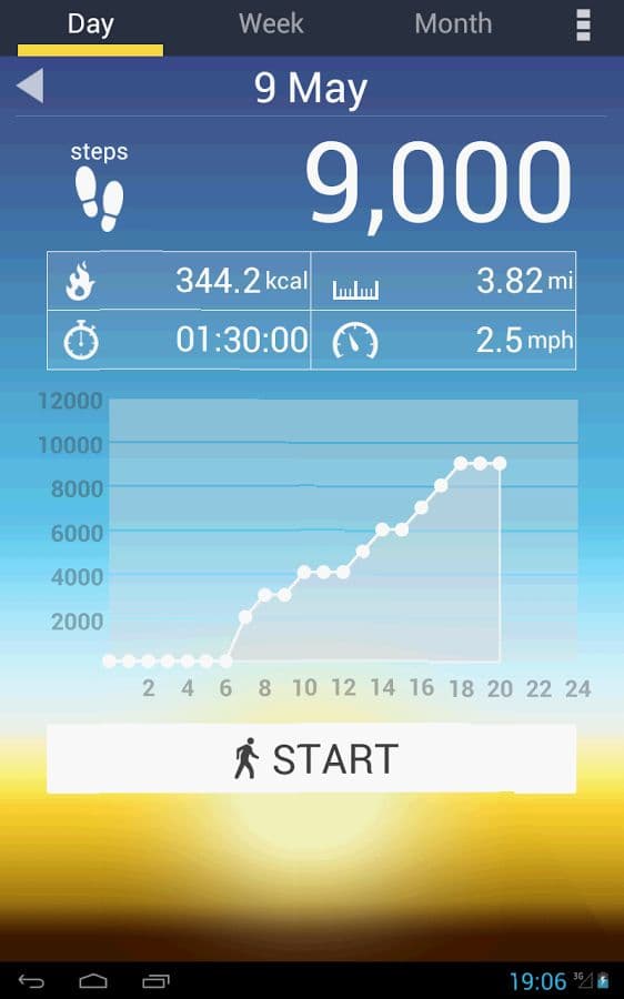 Pedometer