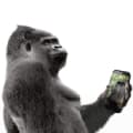 Příští generace skel Gorilla Glass by mohla být ohebná