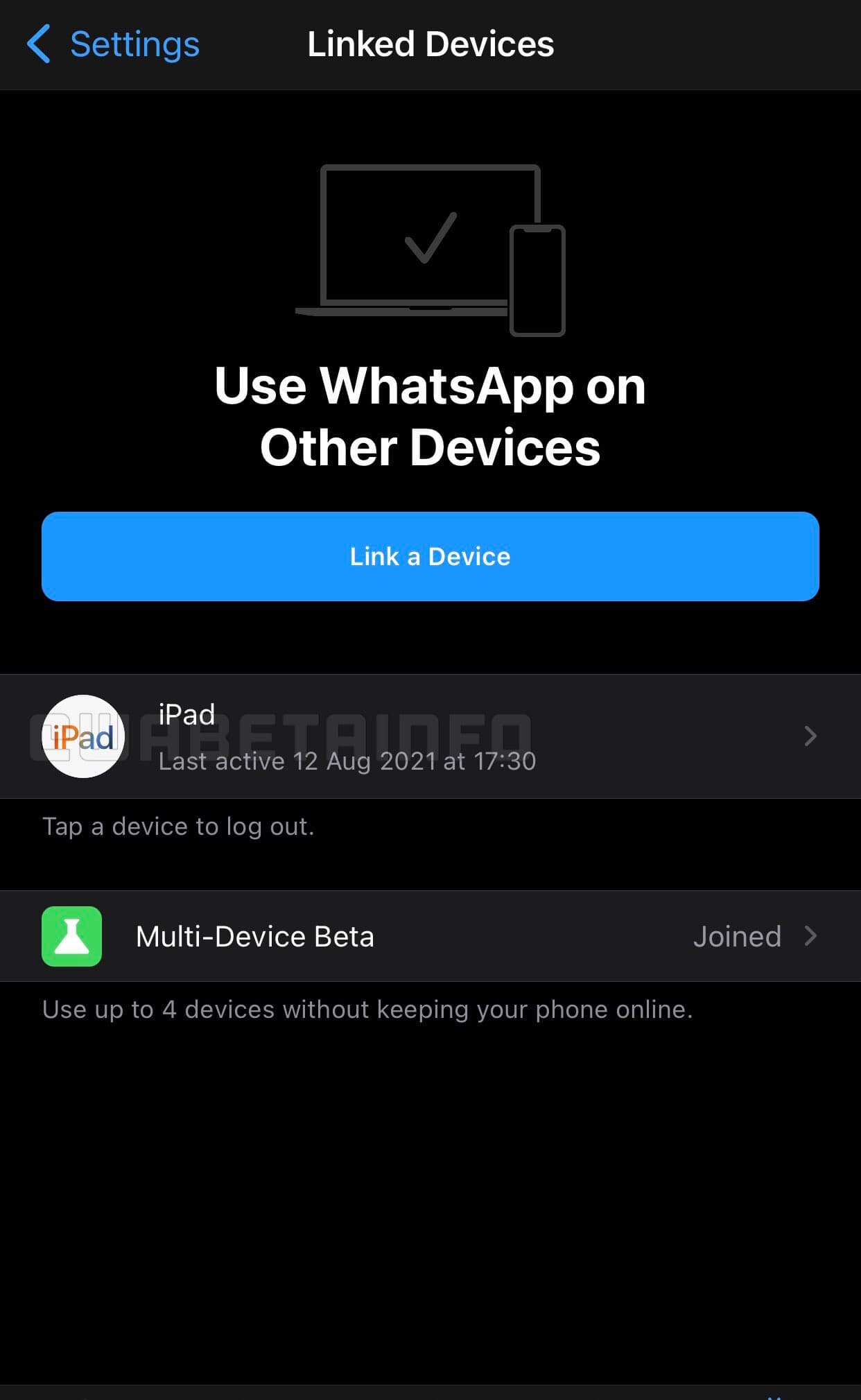 WhatsApp, iPad