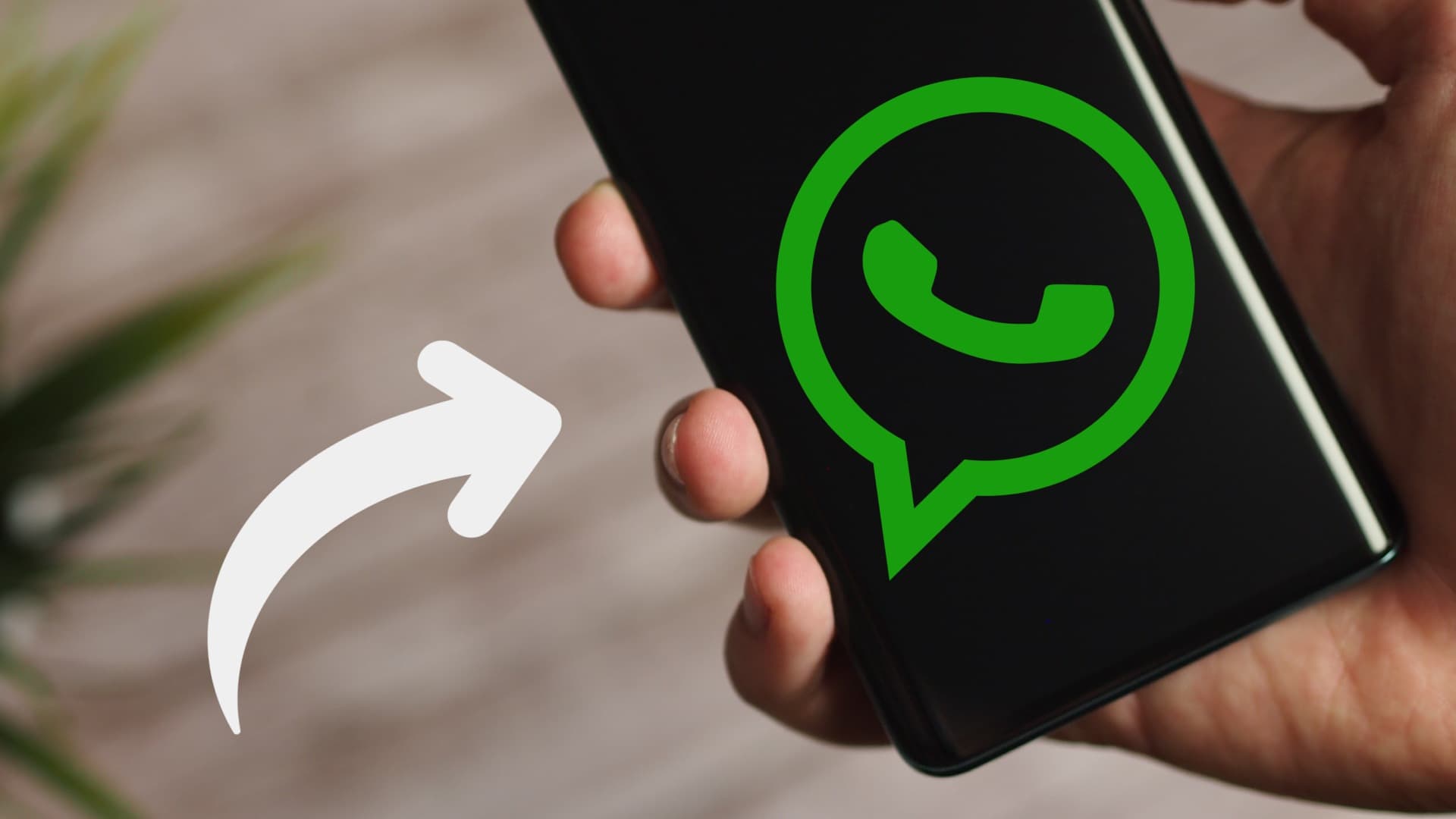 Již brzy i na vašem WhatsAppu! Podívejte se na zajímavě zpracované hlasové zprávy