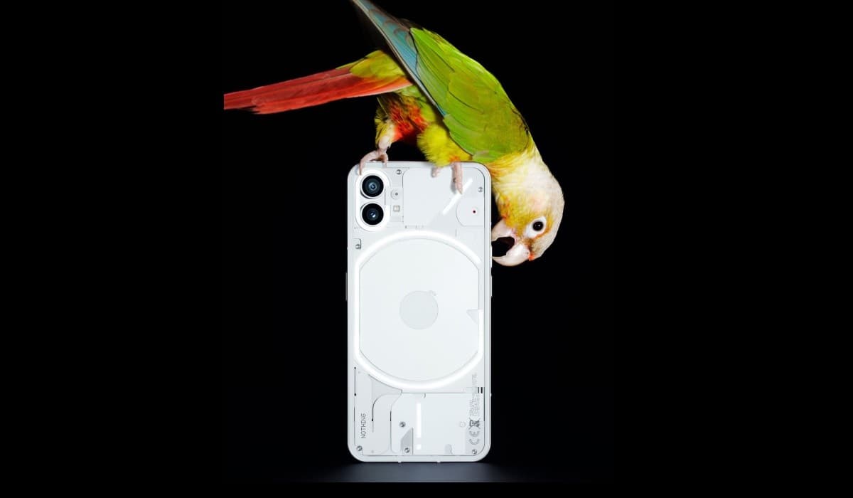 Nothing phone (1)