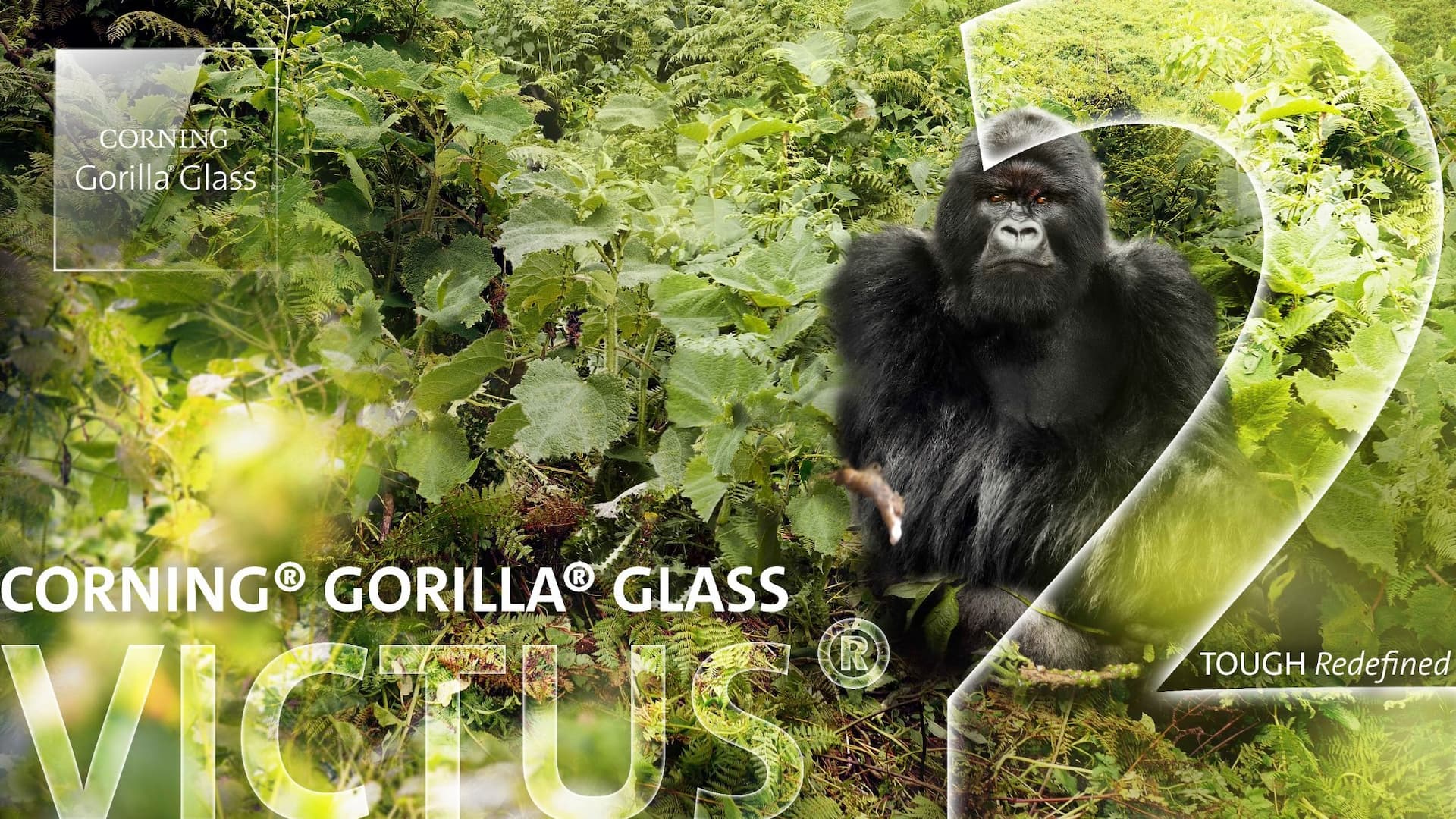 Gorilla Glass Victus 2