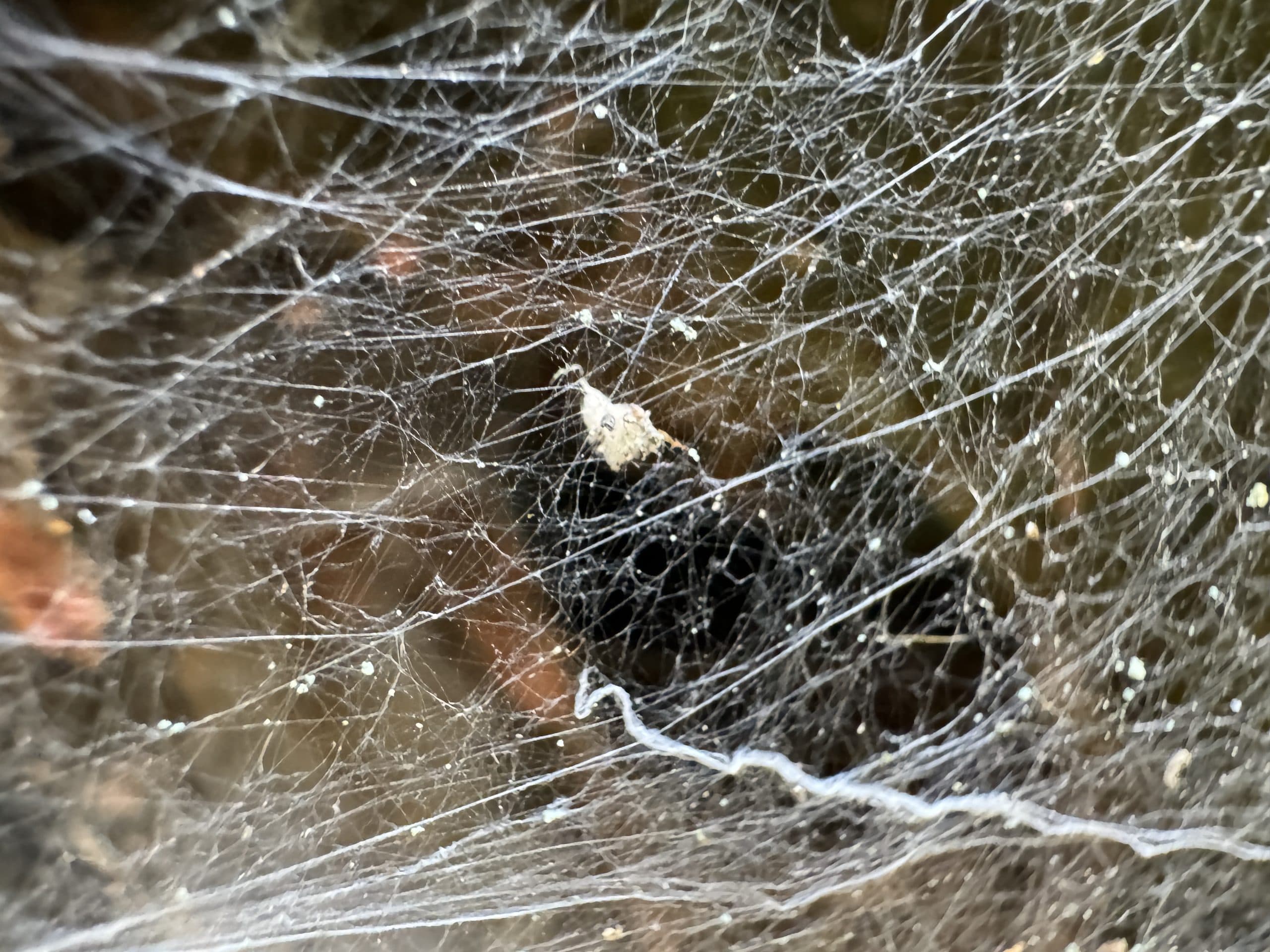 iPhone 15 Pro zkušební fotografie