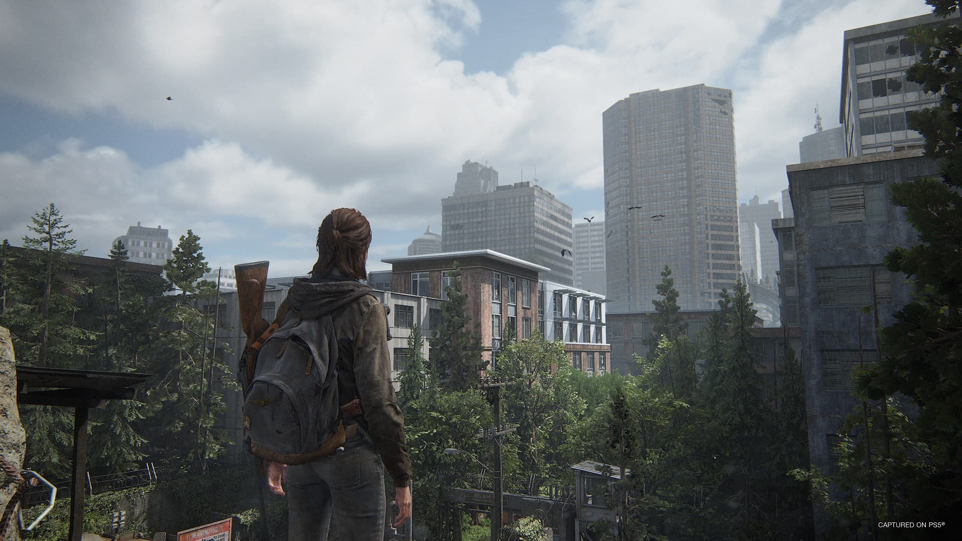 Last of Us Part II