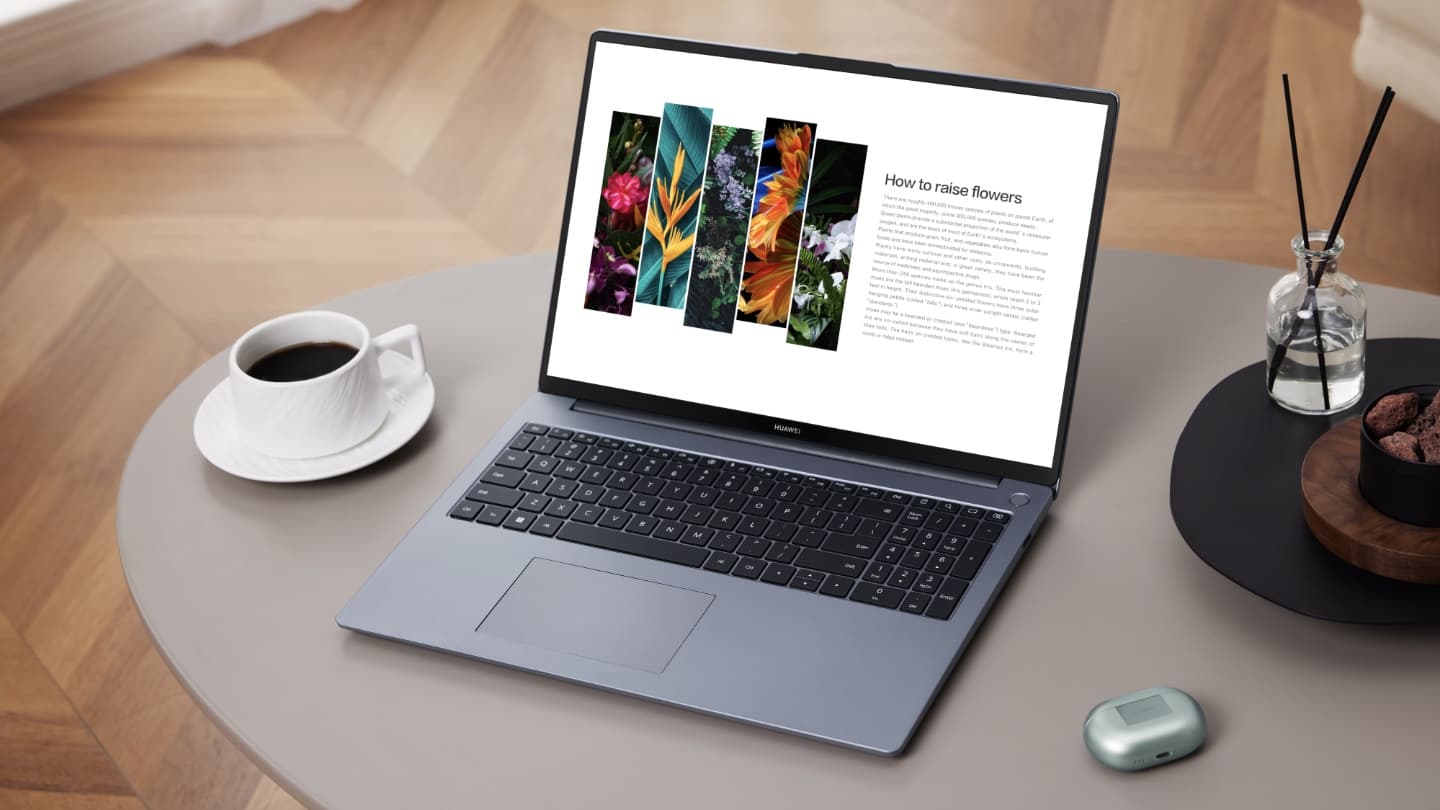 Huawei MateBook D 16 (2024)