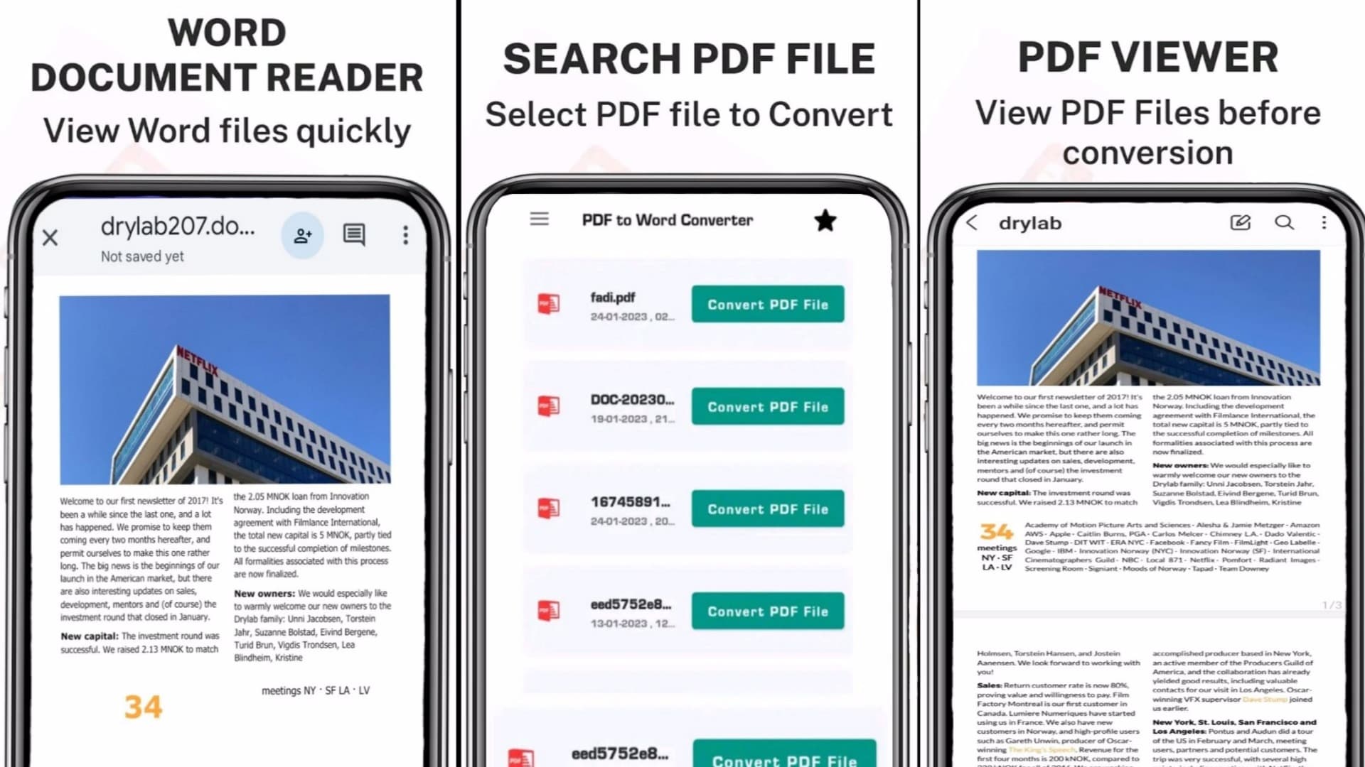 PDF to Word Converter Pro