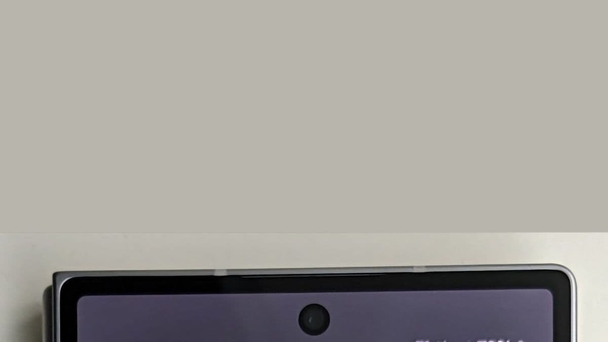 Galaxy Z Fold 6 únik