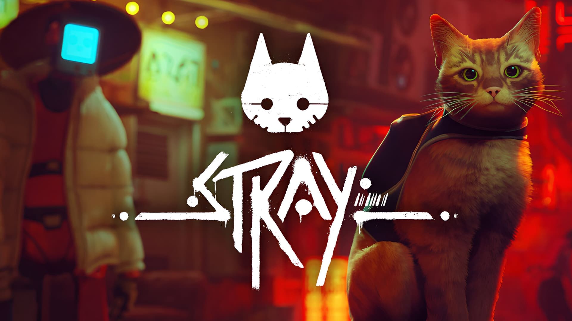 Stray