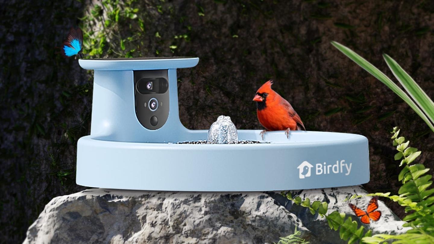 Birdfy Bath Pro