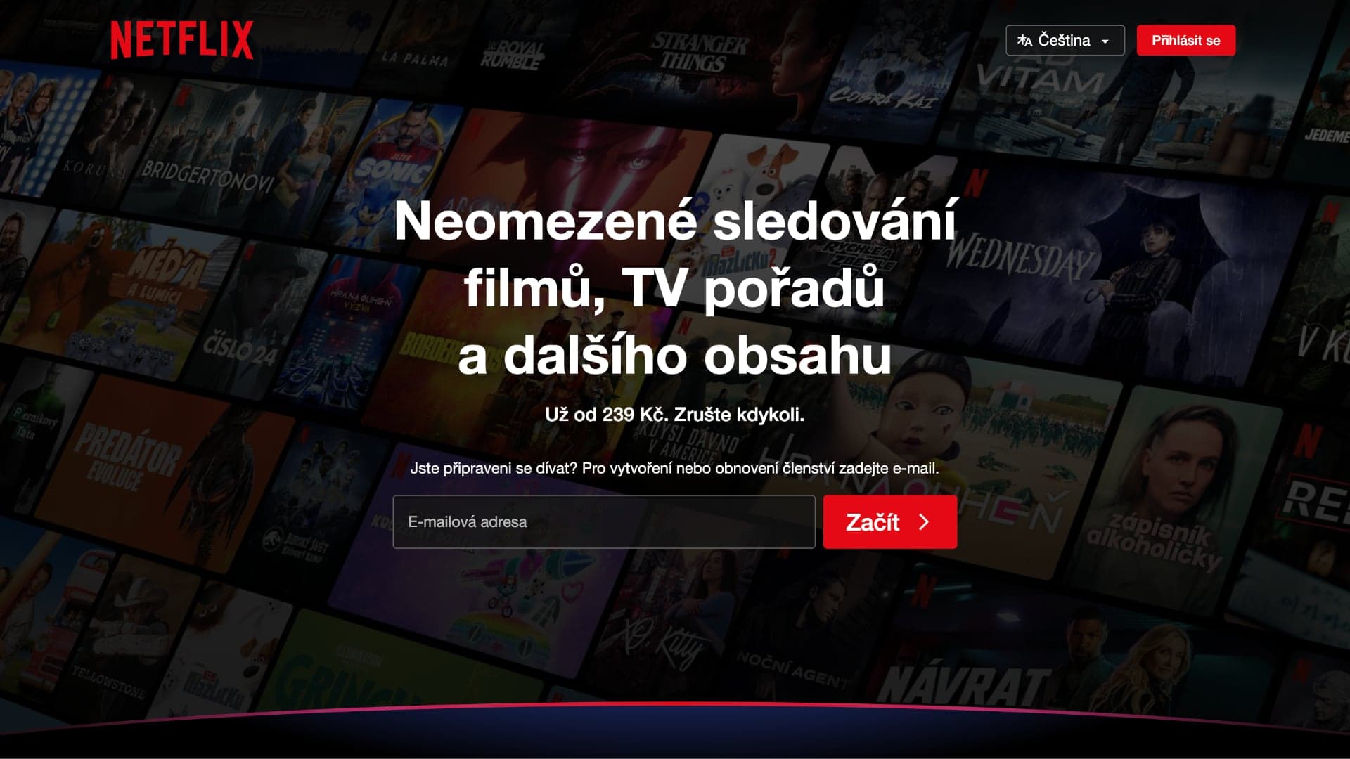 Webové stránky Netflixu | foto: Luboš Srb