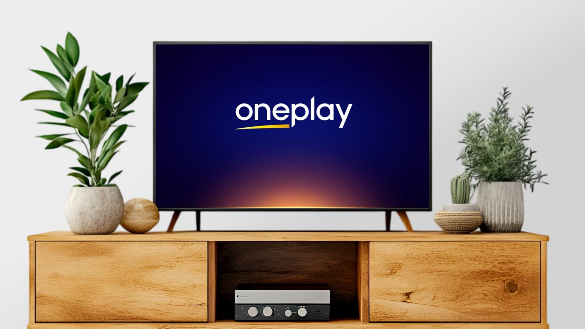 Oneplay na televizi | foto: Luboš Srb