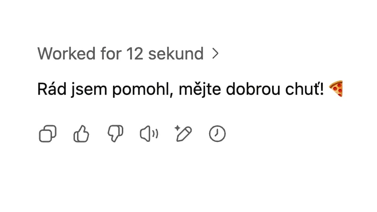 AI mi nakonec i popřála dobrou chuť | foto: Luboš Srb