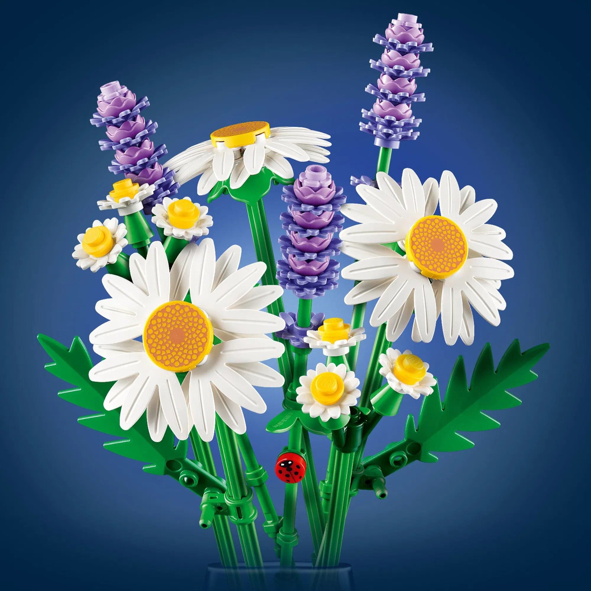 LEGO Botanicals, Kopretiny | Zdroj: LEGO