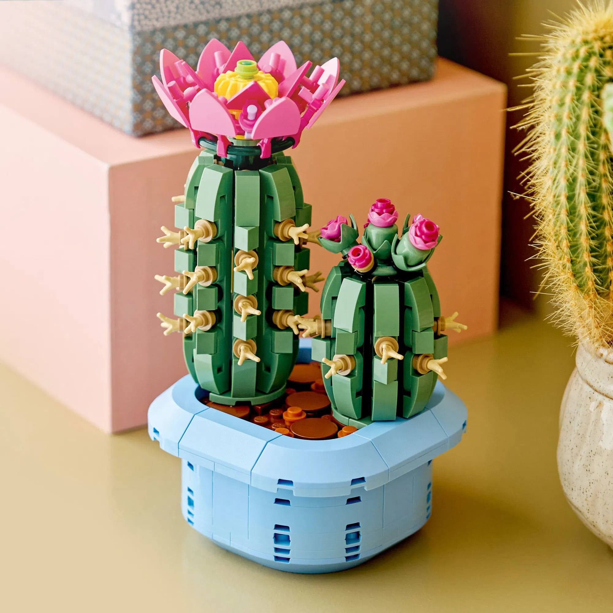 LEGO Botanicals, Kvetoucí kaktus | Zdroj: LEGO