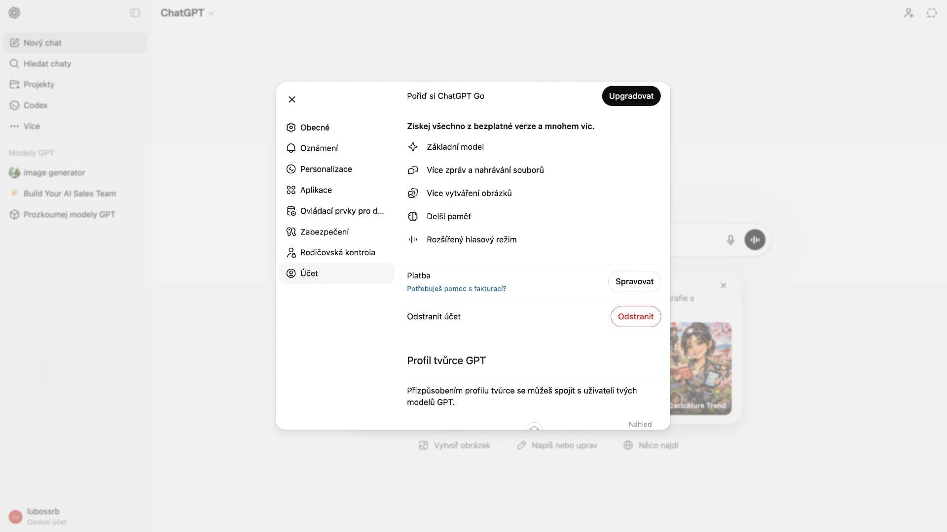 Jak smazat účet ChatGPT | Zdroj: Ondřej Koníček