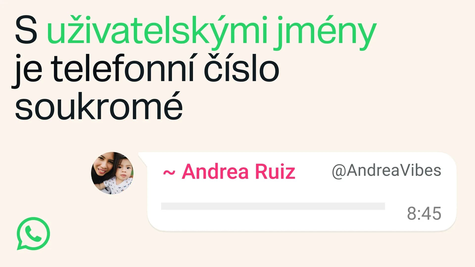 Do WhatsAppu míří uživatelská jména | Zdroj: Meta