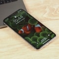 iPhone X je zlatý důl. Apple na něm vydělává neskutečné peníze