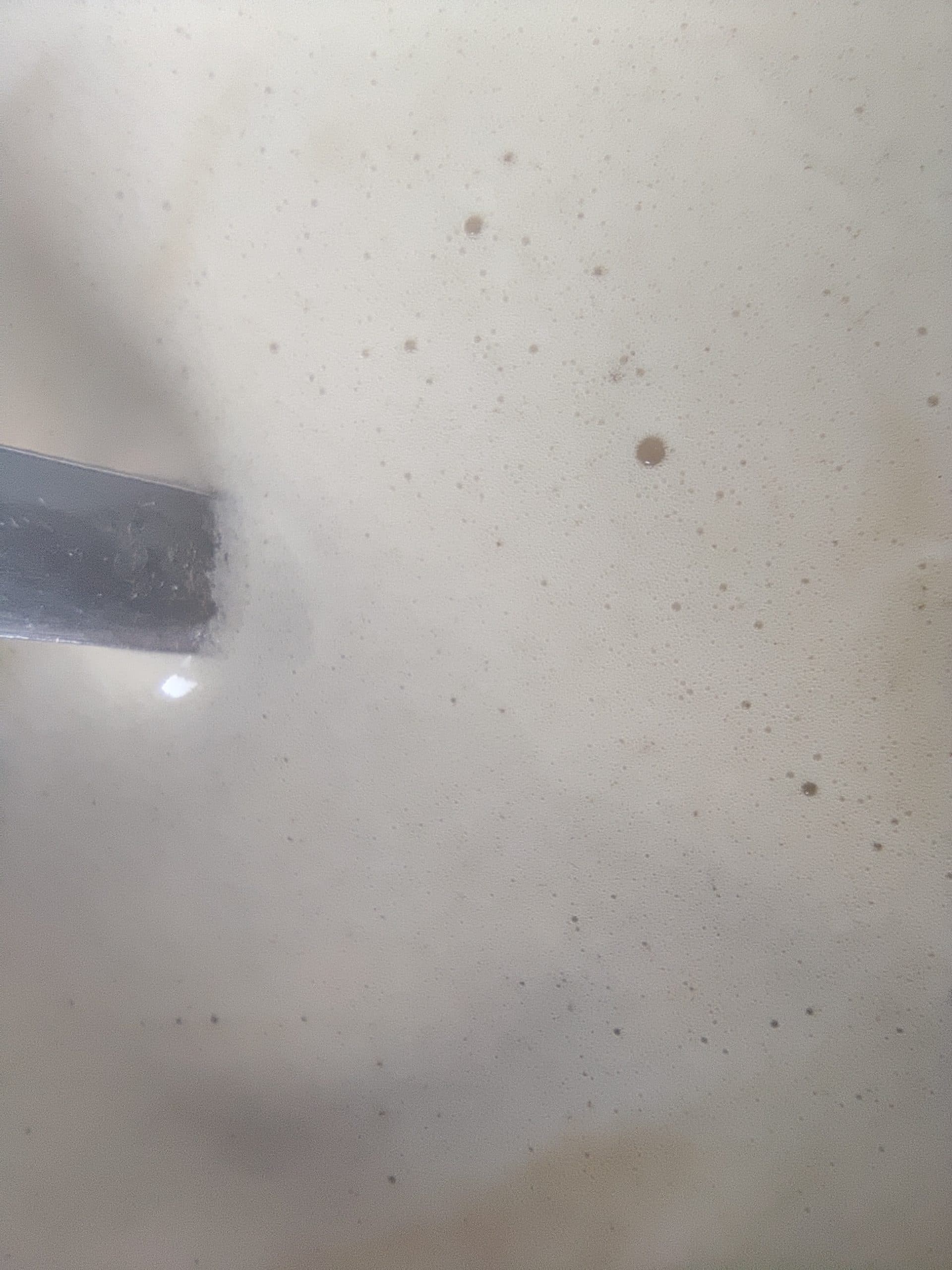 OnePlus 8T, fotorecenze