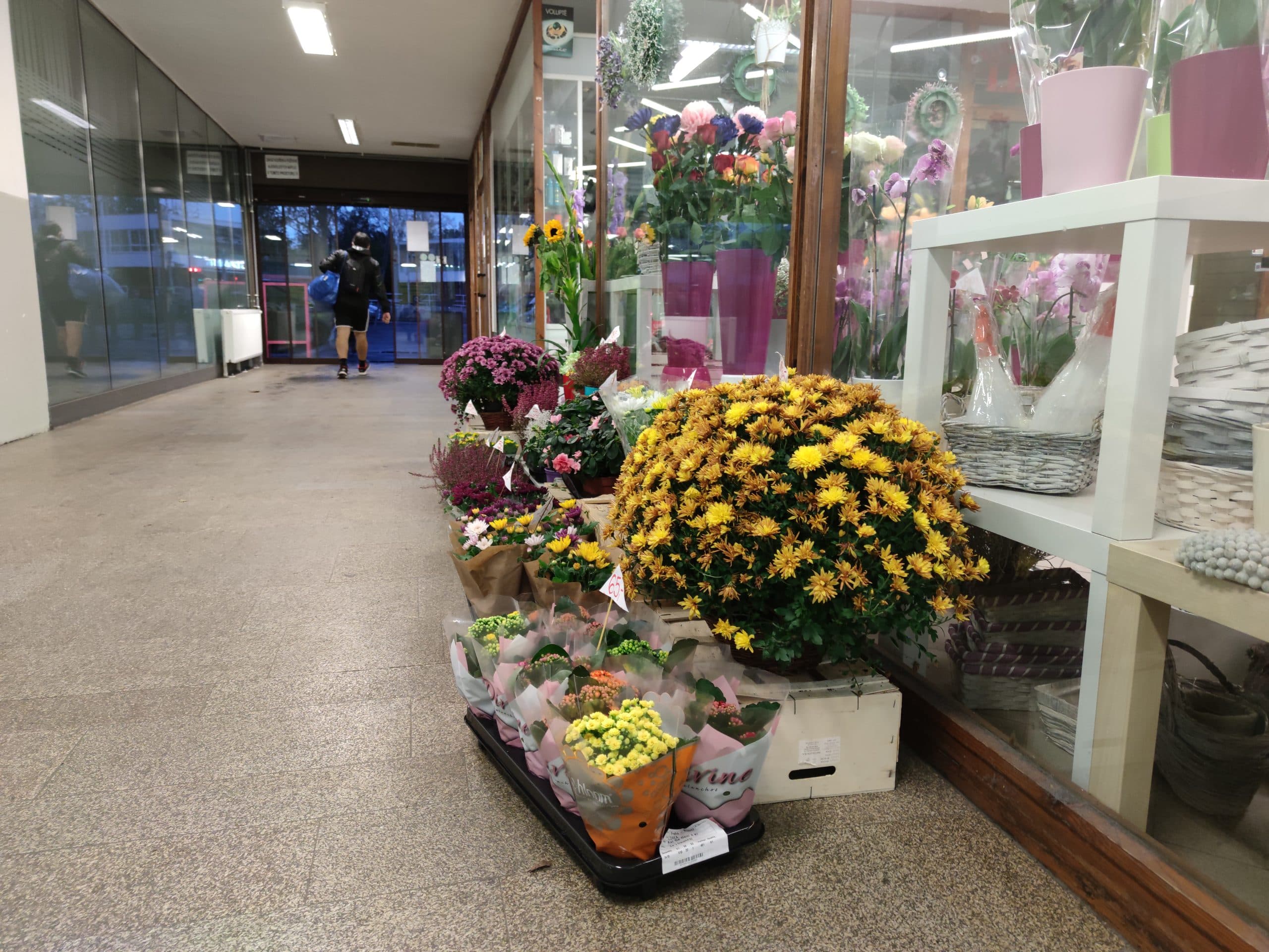 Xiaomi Mi 10T Pro, fototest