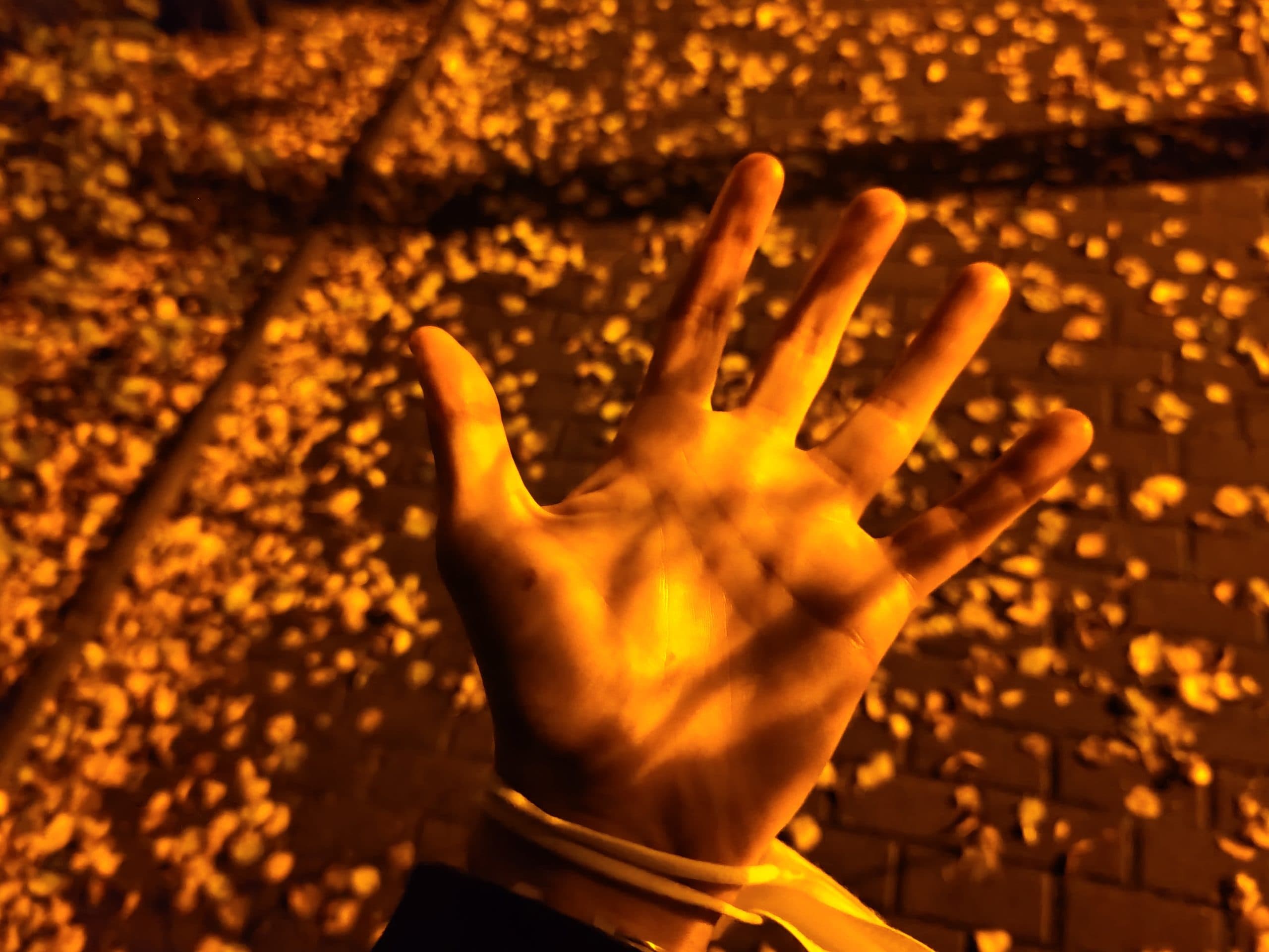 Xiaomi Mi 10T Pro, fototest