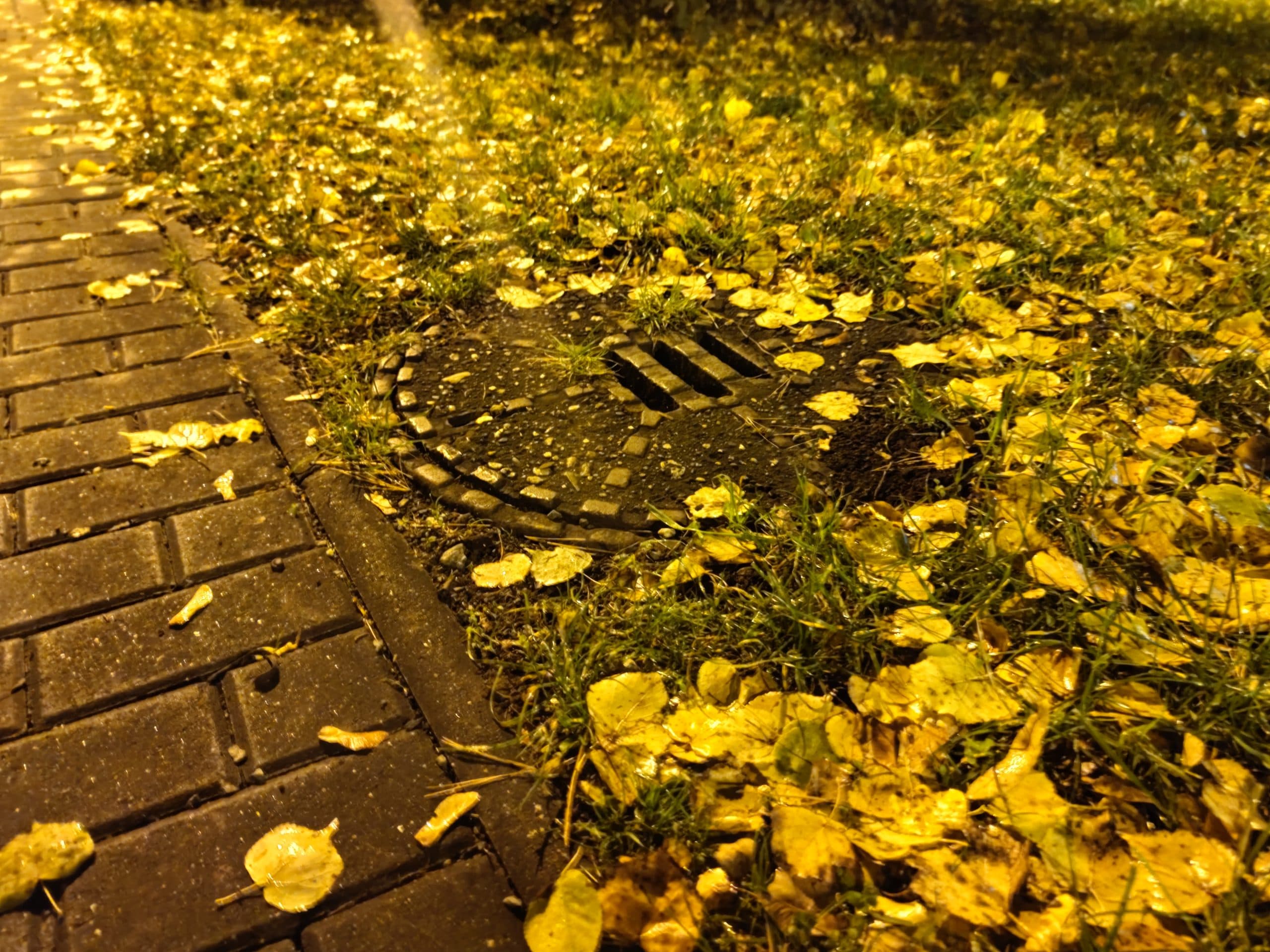 Xiaomi Mi 10T Pro, fototest