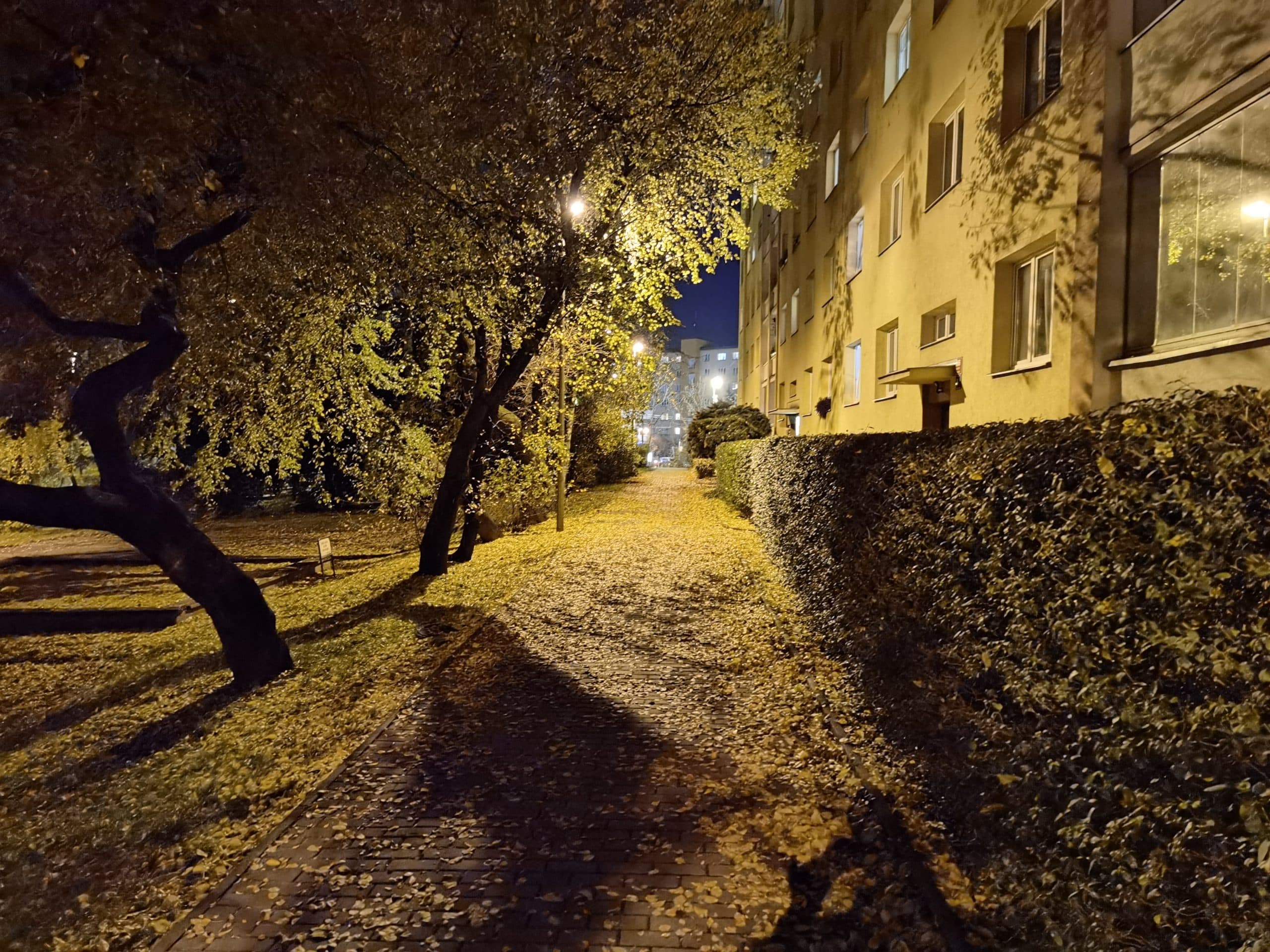 Huawei Mate 40 Pro, recenze