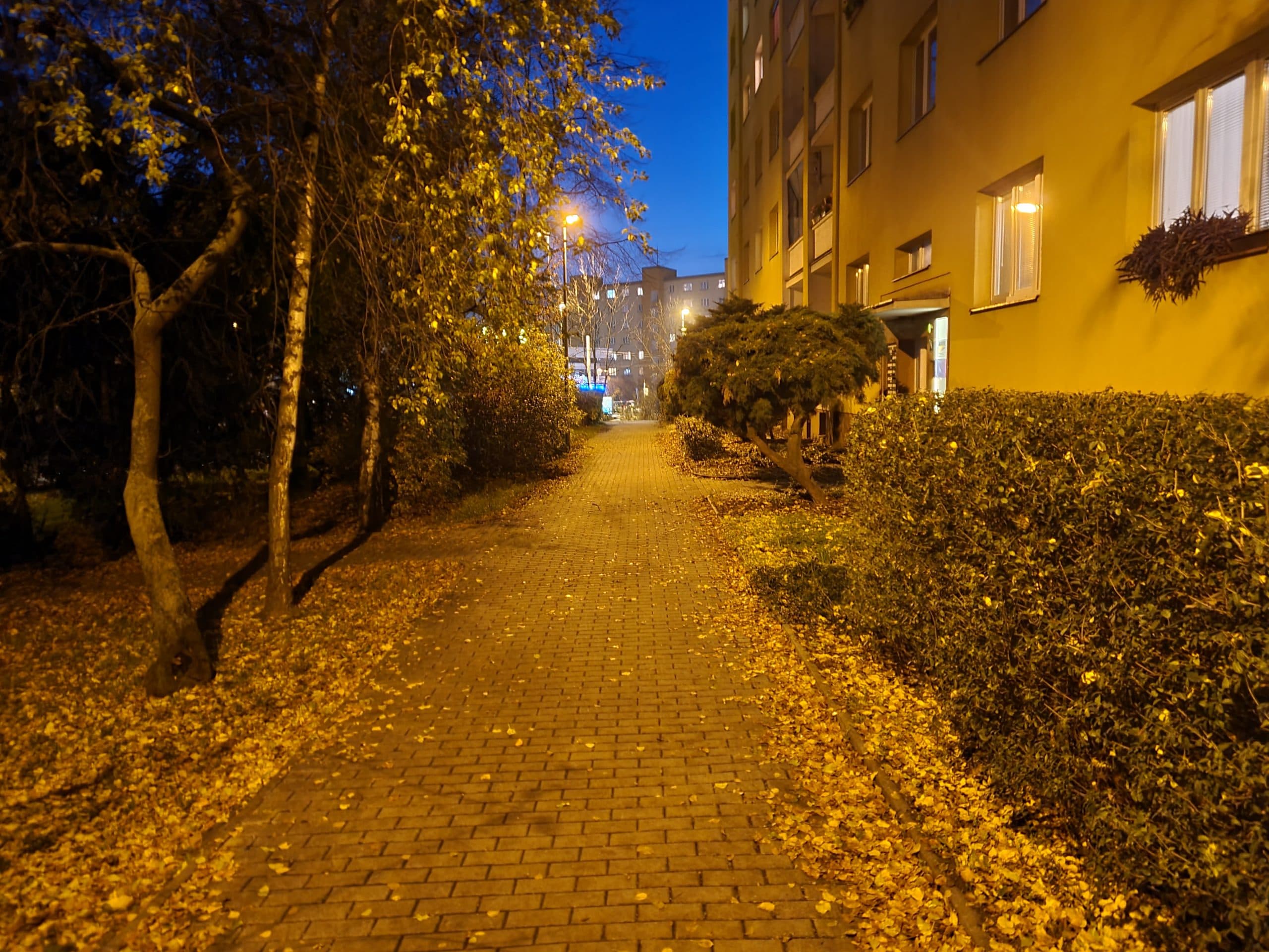 Samsung Galaxy S20 FE