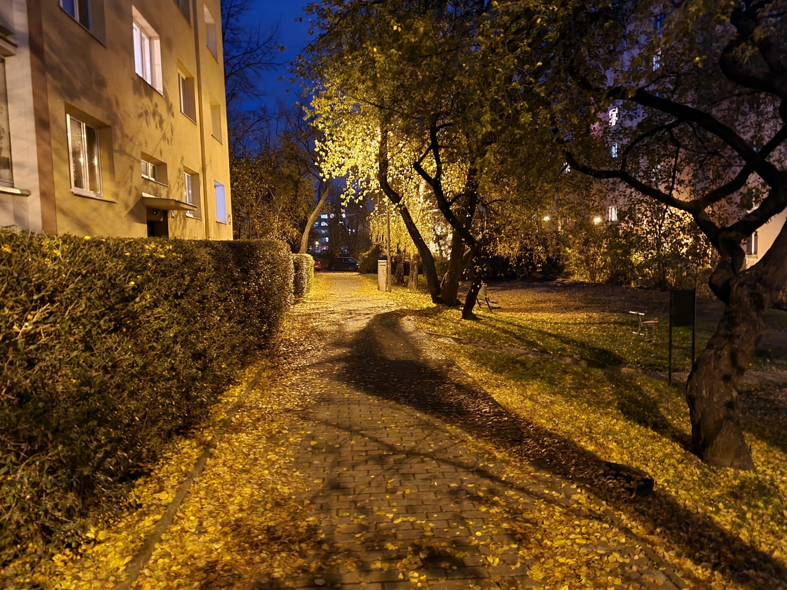 Samsung Galaxy S20 FE