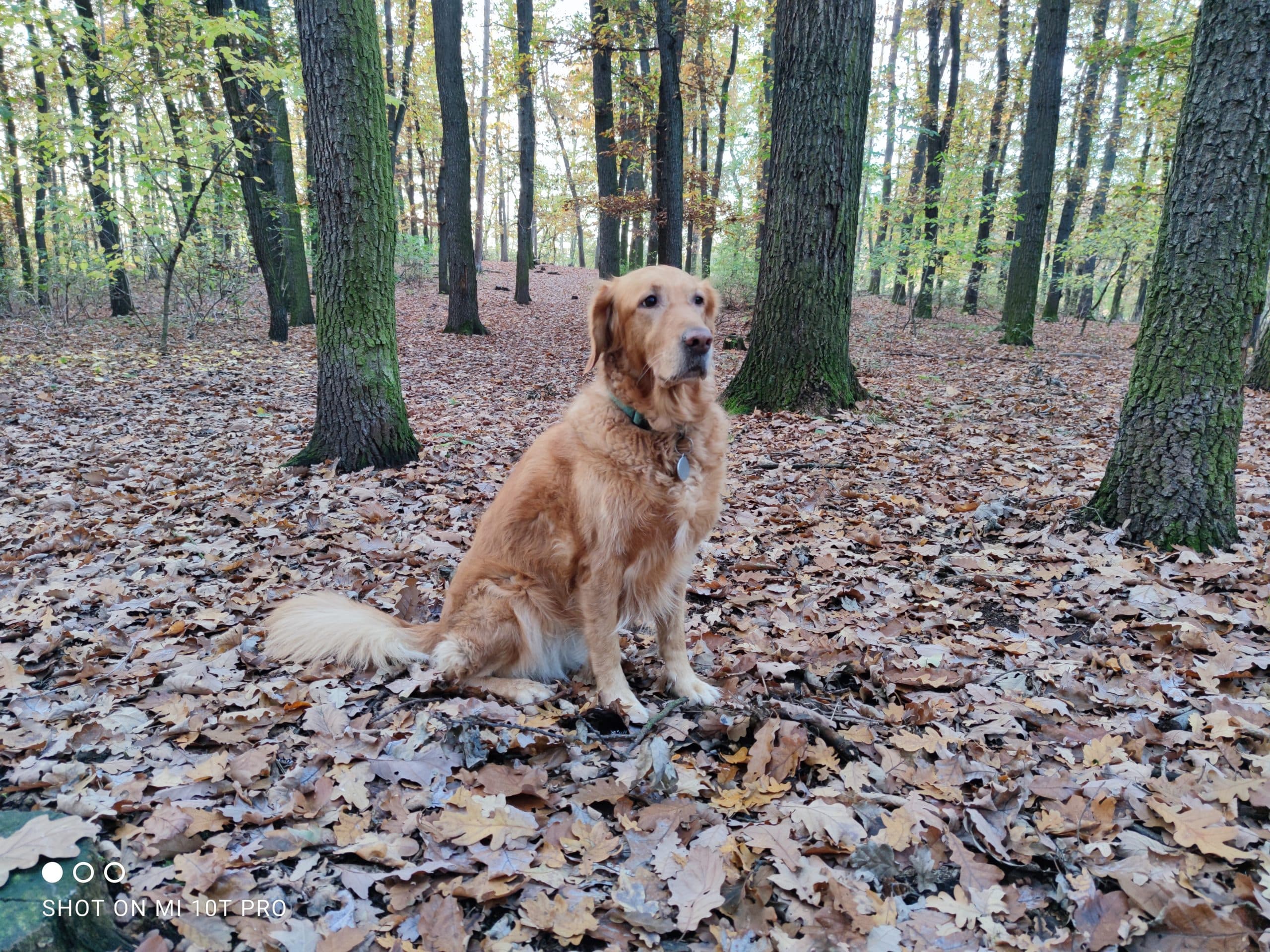 Xiaomi Mi 10T Pro, recenze