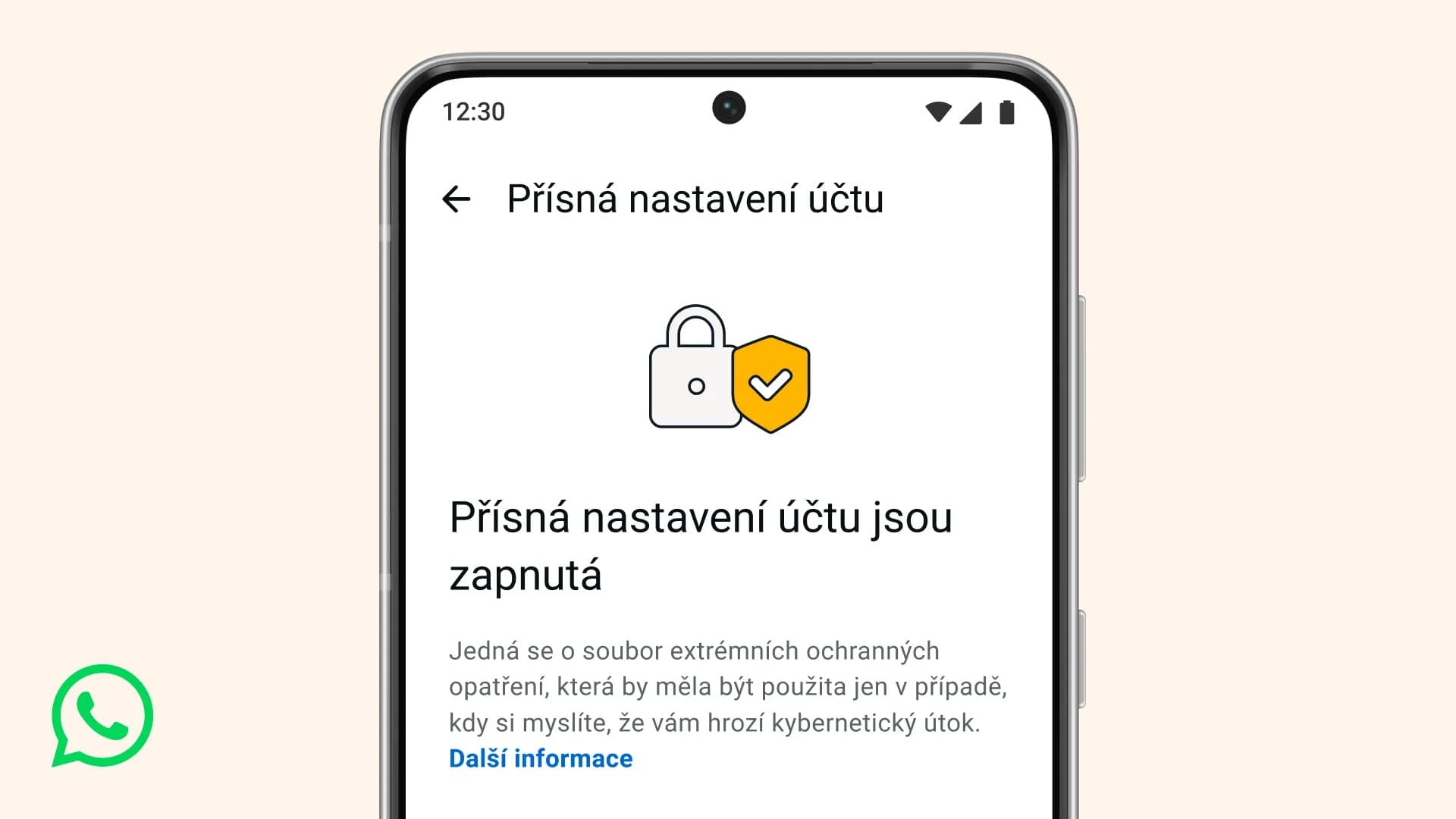 Nová bezpečnostní funkce ve WhatsAppu | Zdroj: Meta