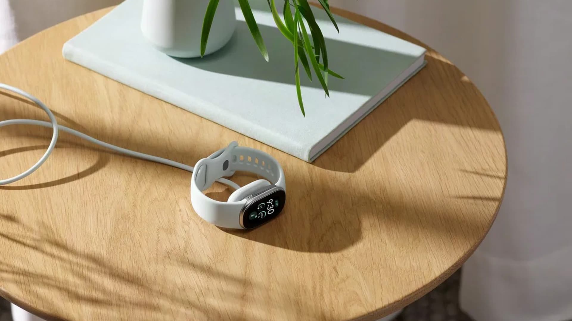 Google Fitbit Edge | Zdroj: Google